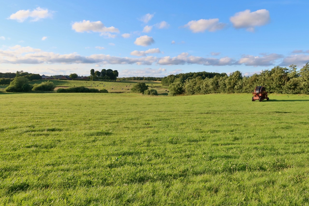 6C268EBE-3931-4BBB-9669-E90E6F450C92