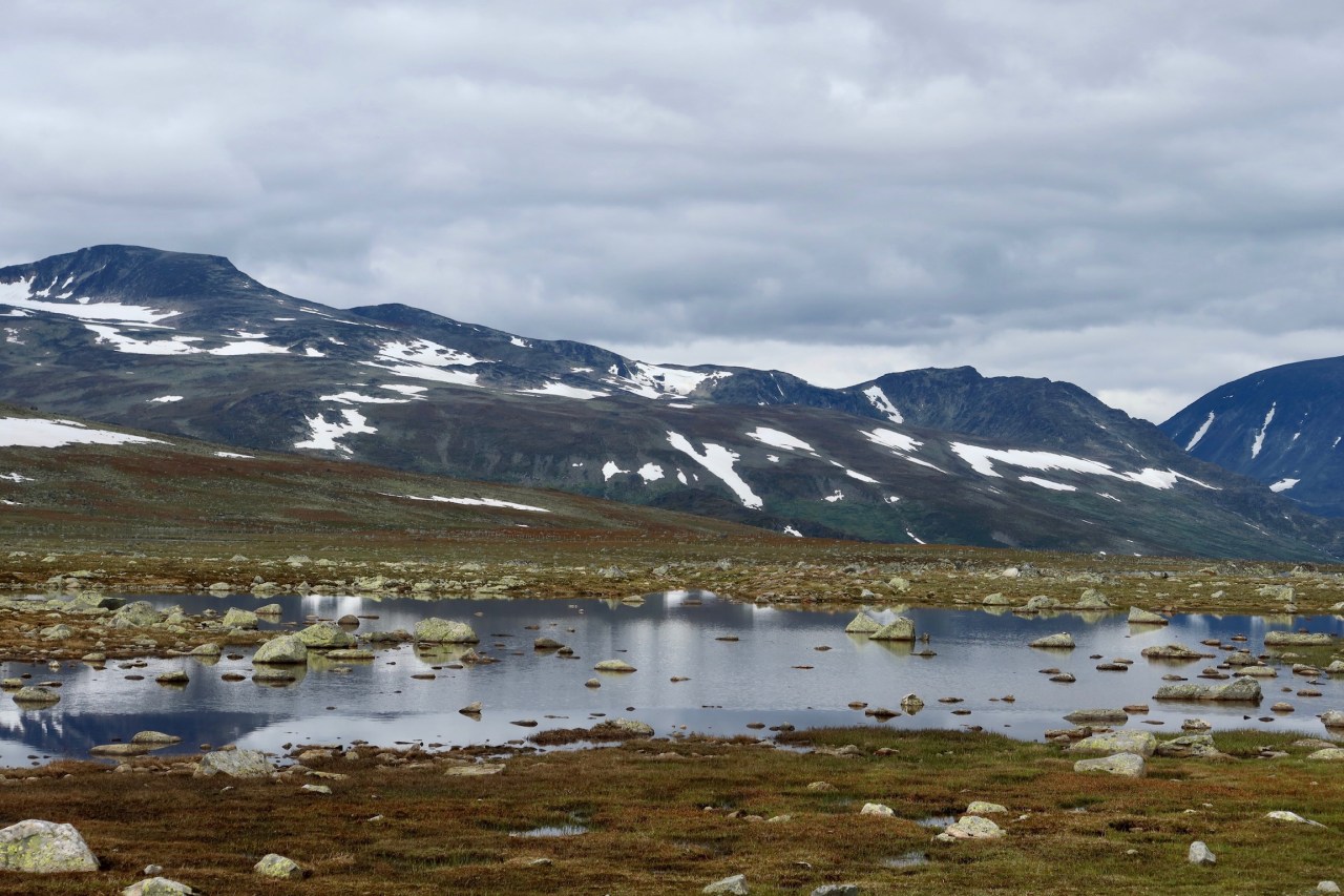 Driving North; maybe, hopefully,&nbsp;eventually