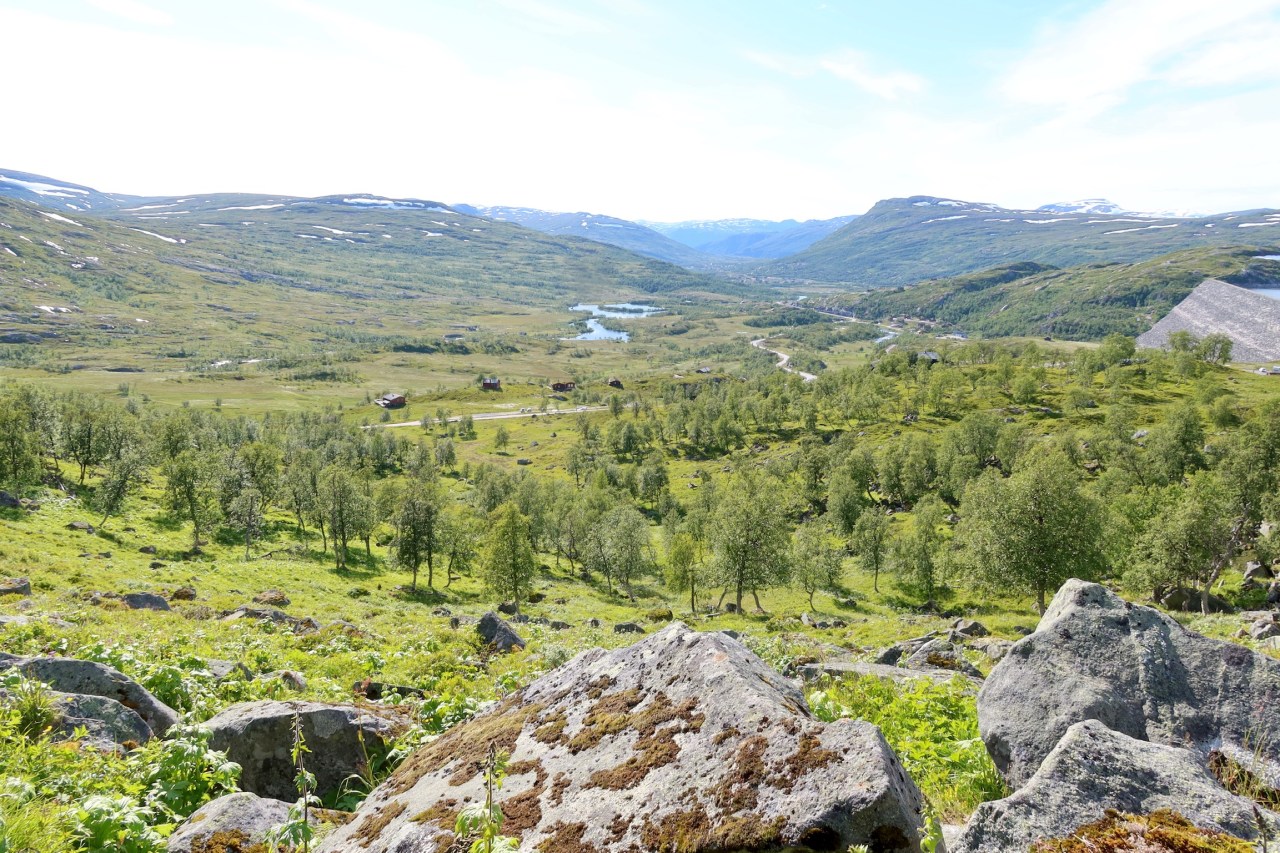 DAB18542-C76C-4467-9F65-C2F5CDE6B642