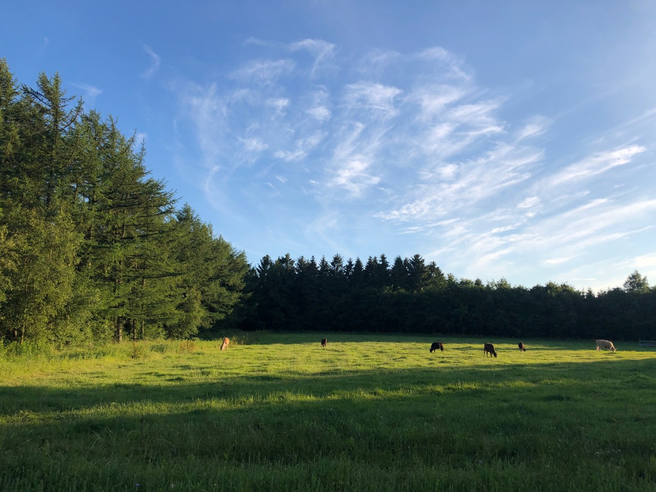 Our First Border&nbsp;Crossing