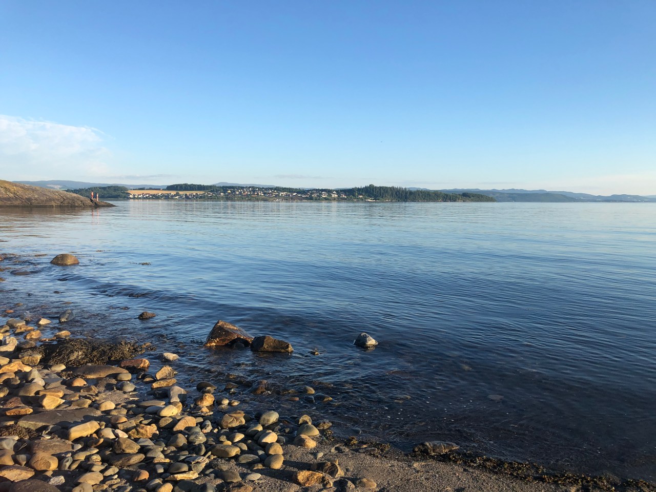 Driving, Drooling, Driving,&nbsp;Drooling