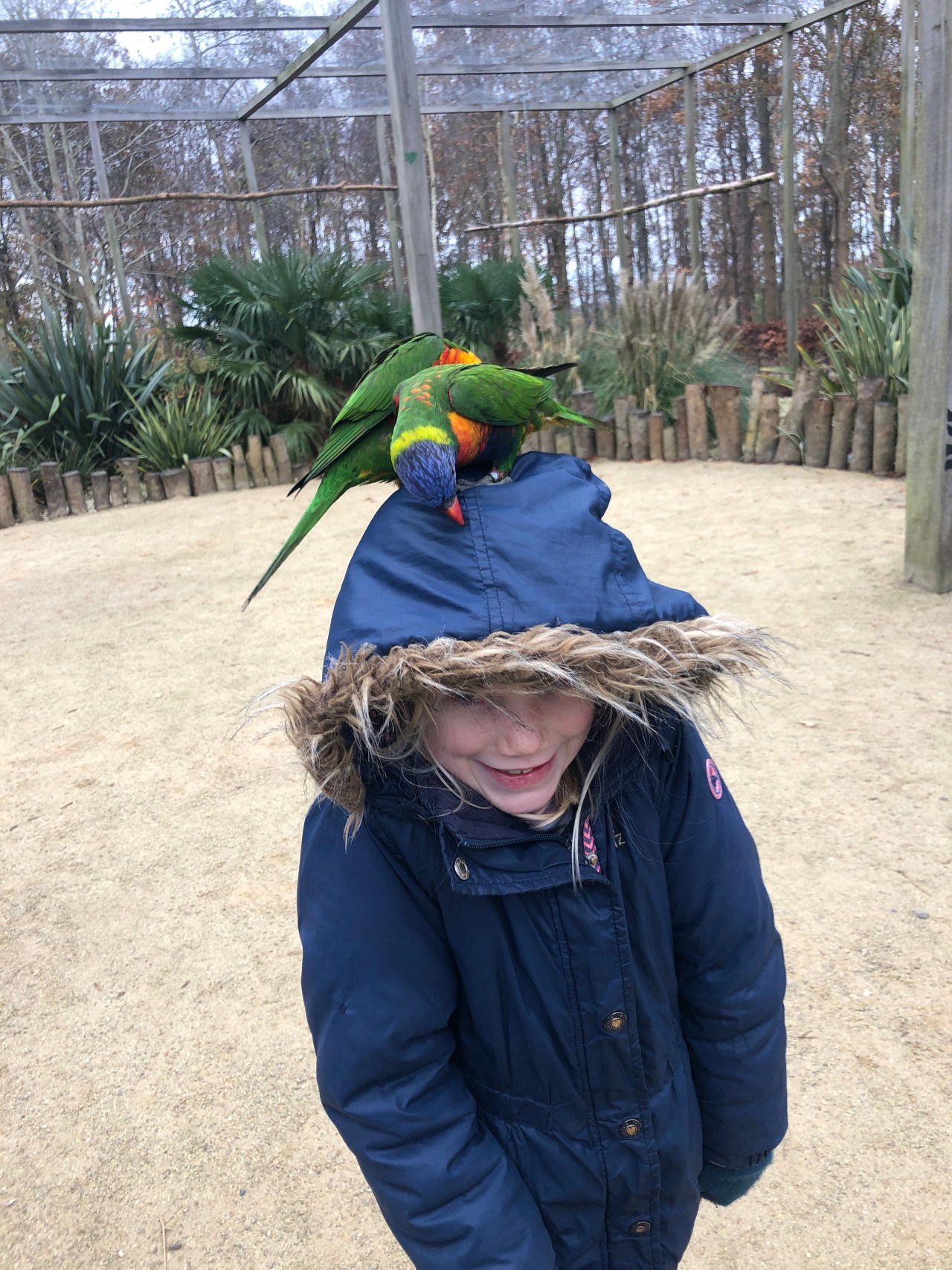 Thanksgiving at the&nbsp;Zoo