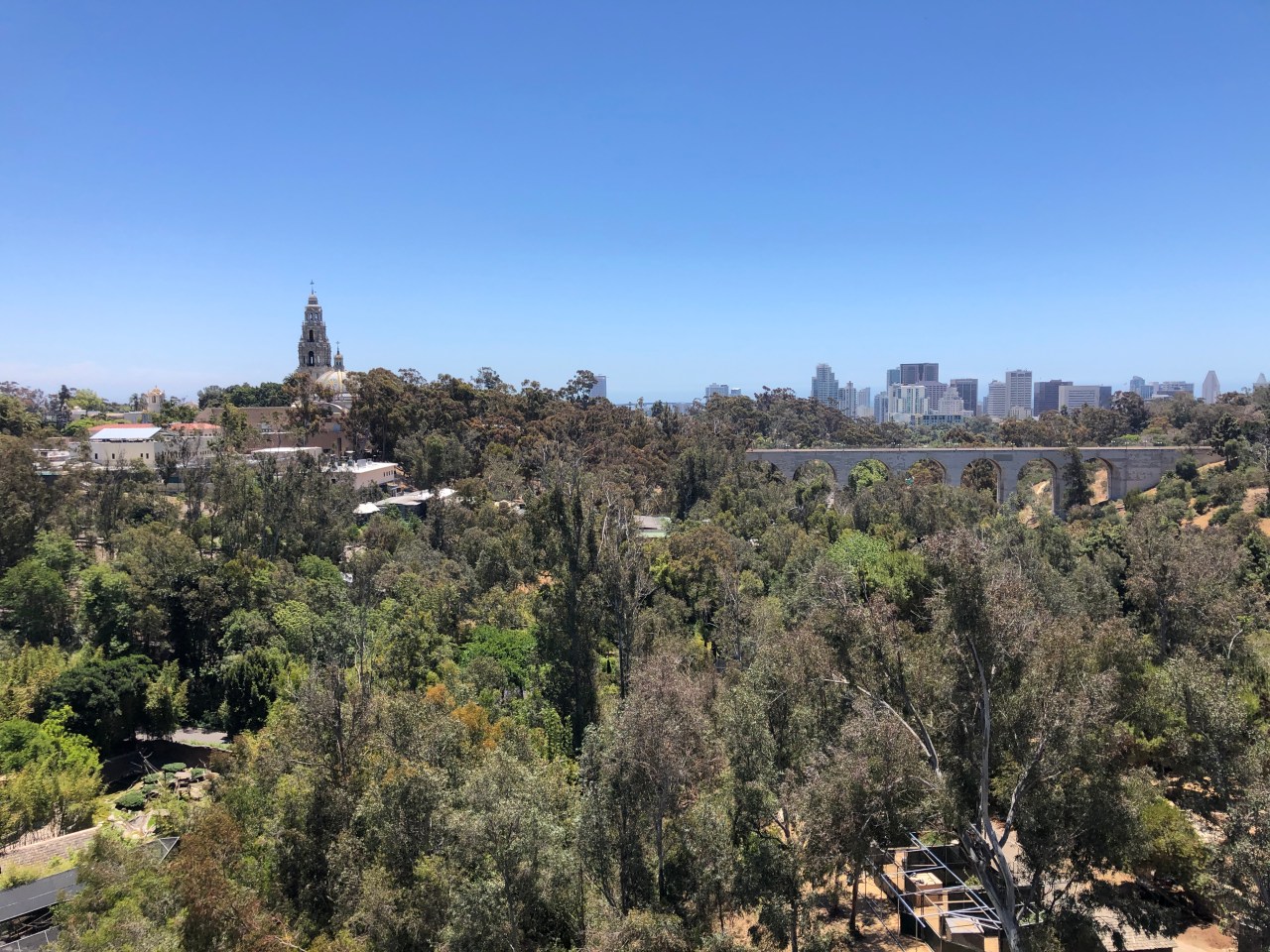 A Post-School Field&nbsp;Trip