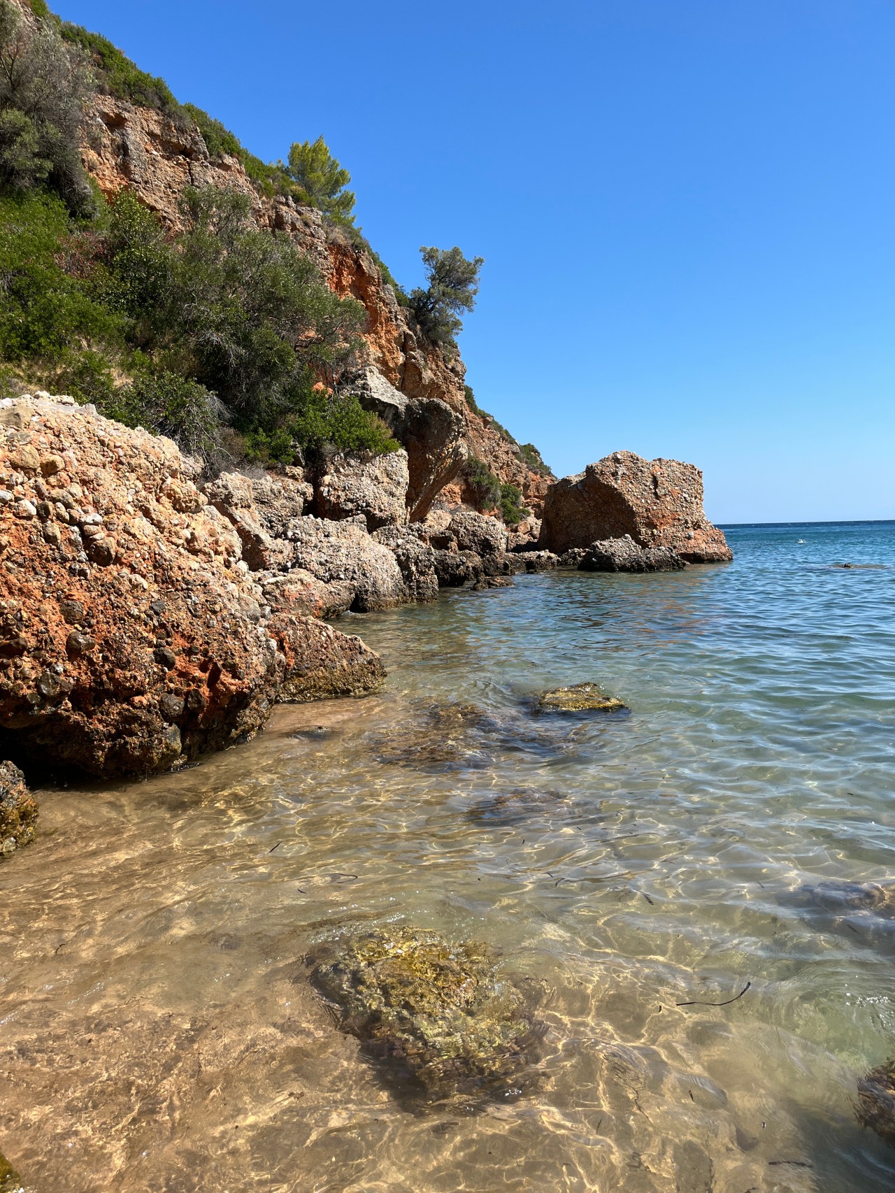 A Few of Our Favorite Things 