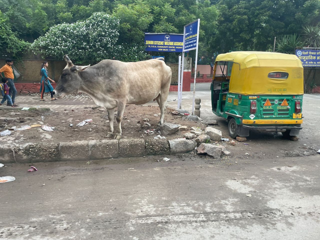 Impressions of India