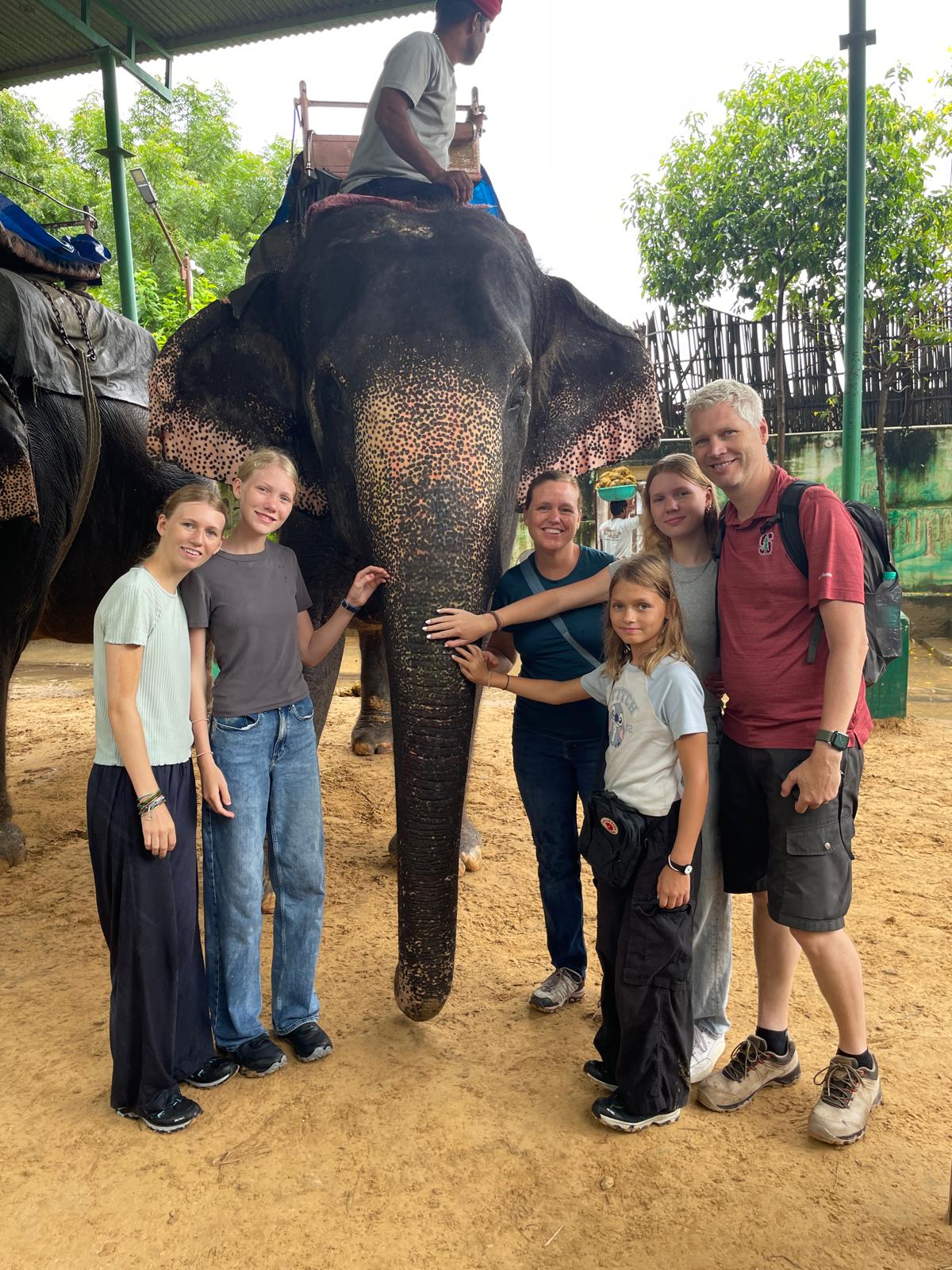 Recuperating in Jaipur