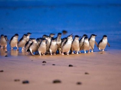 Arriving in Australia