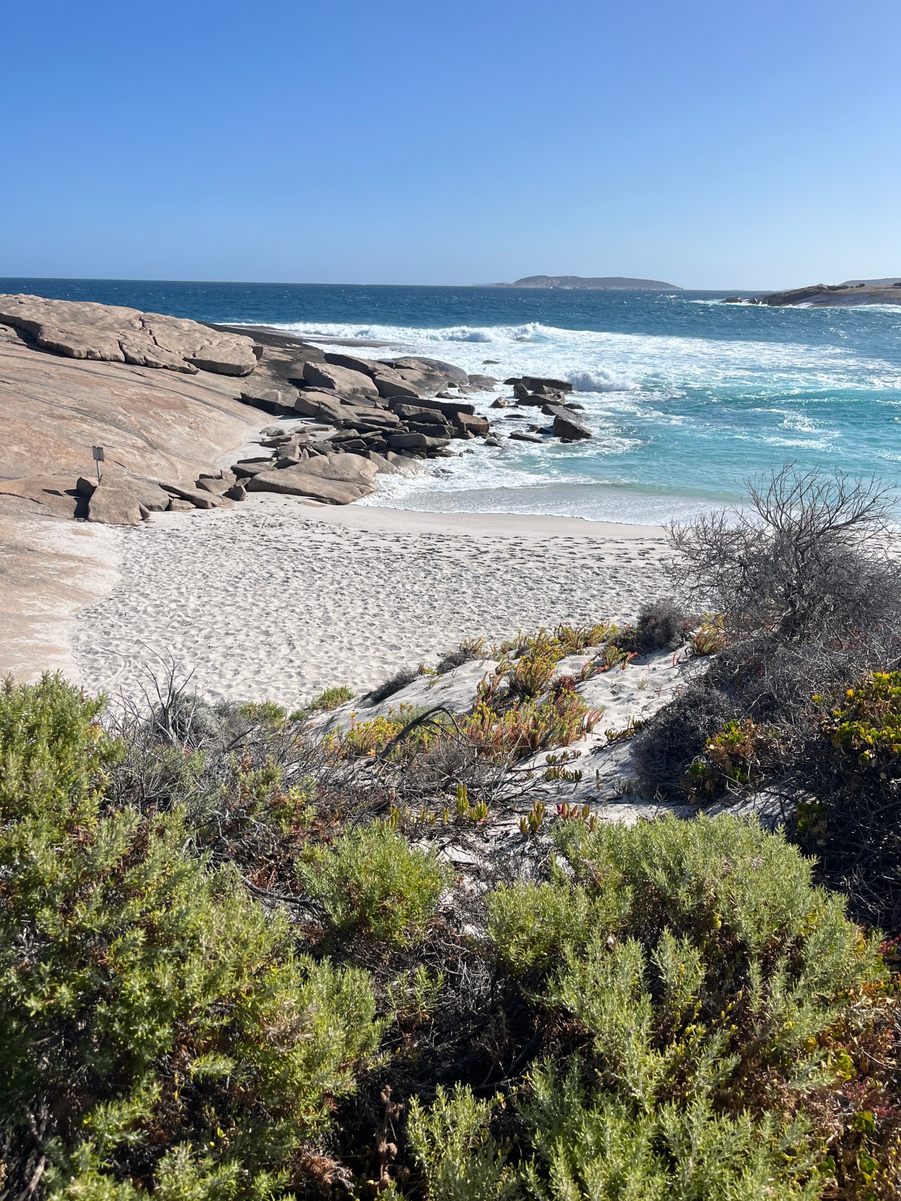 Australia Road Trip: Week Four