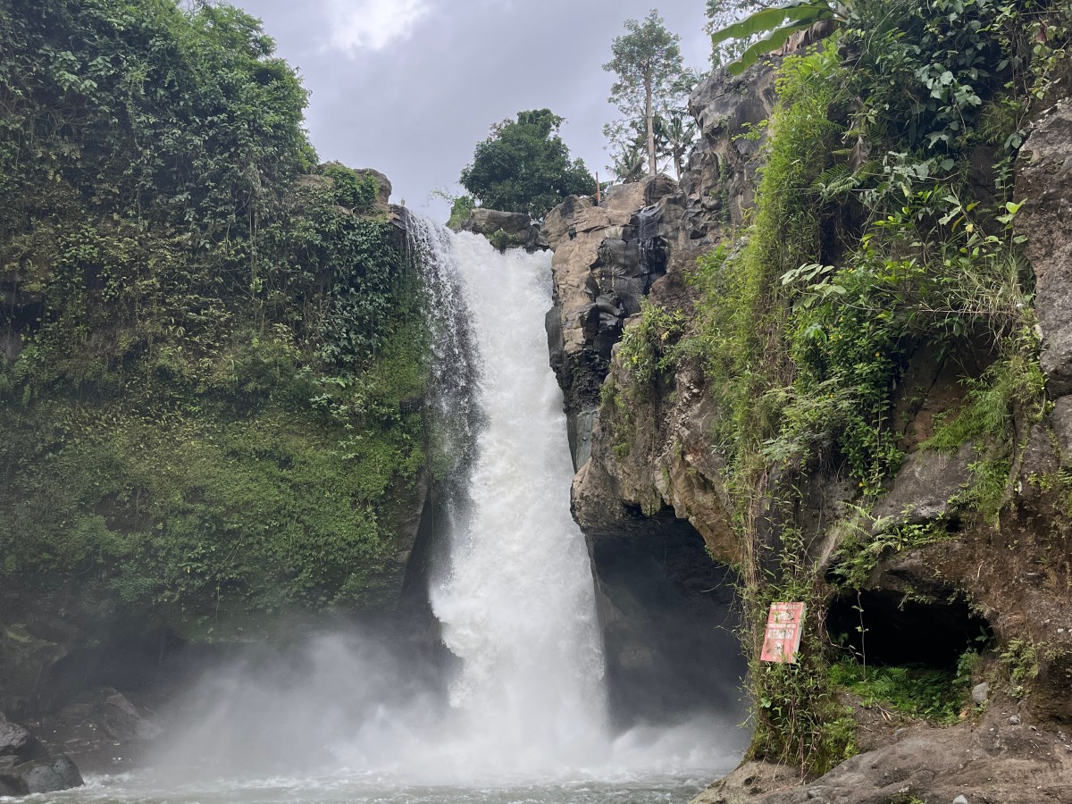 Week Two in&nbsp;Bali