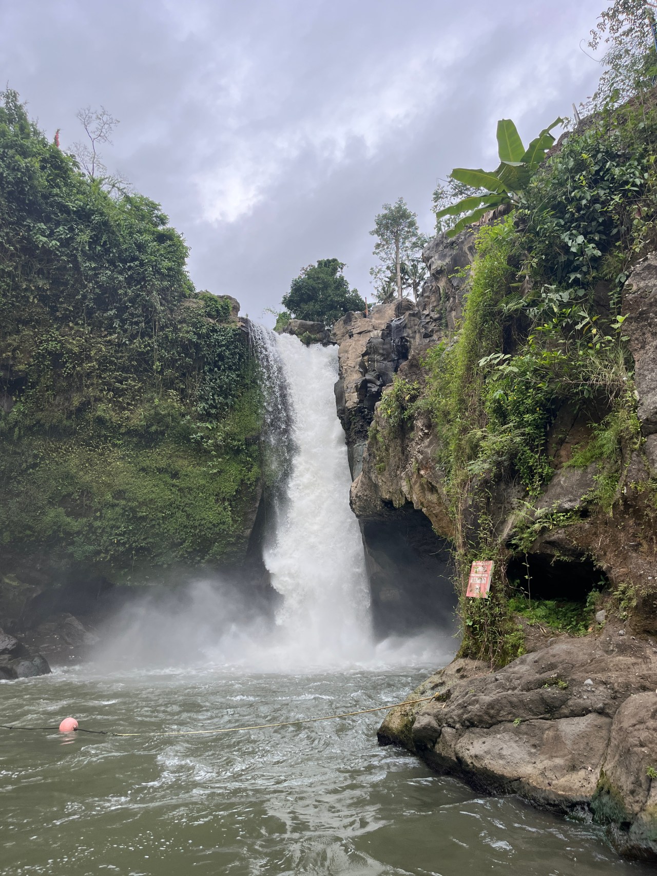 Week Two in&nbsp;Bali