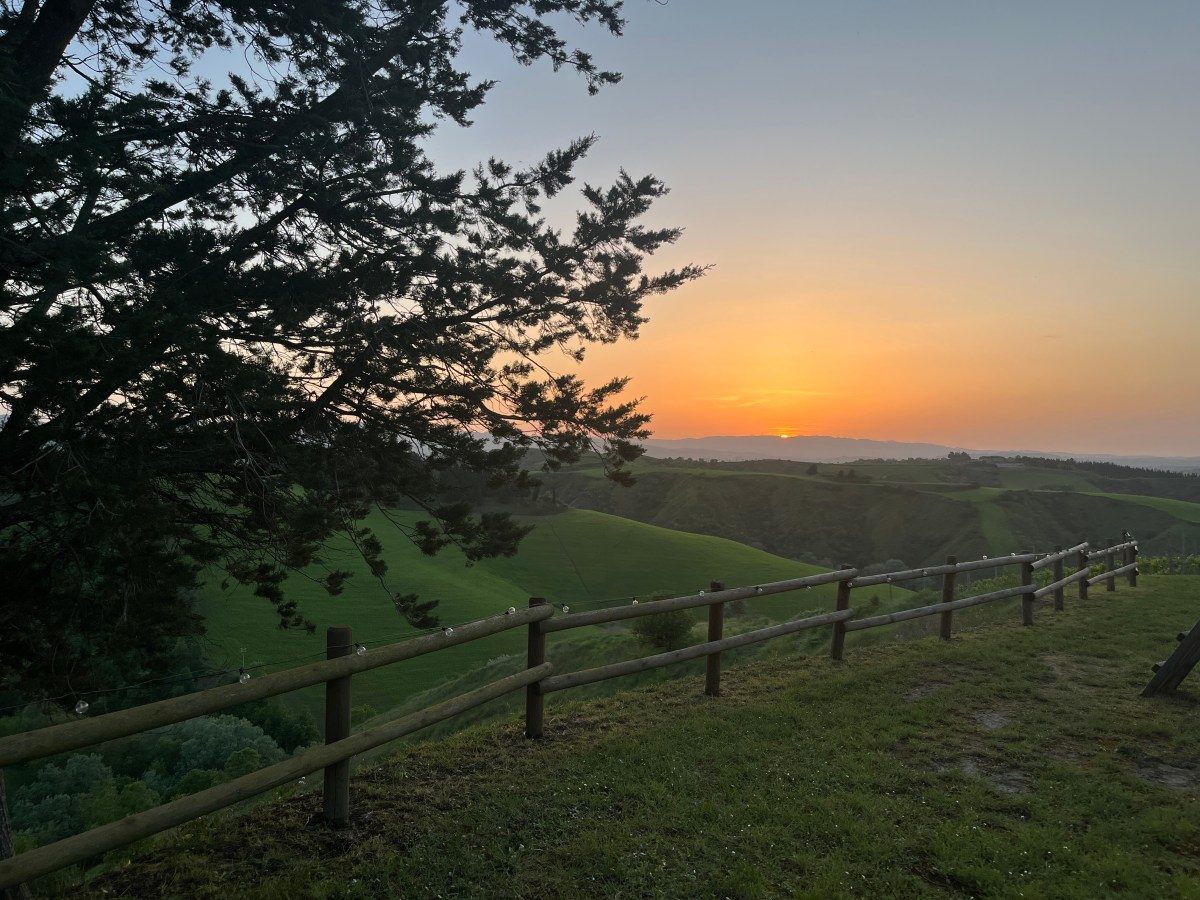 A Moment of&nbsp;Reflection